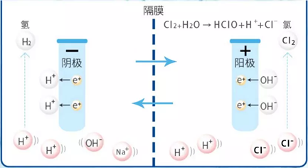 次氯酸發生器原理 次氯酸發生器原理