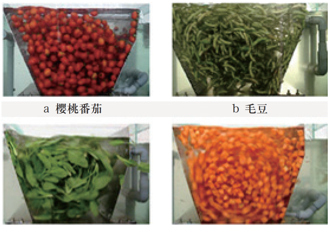 清洗對比.png