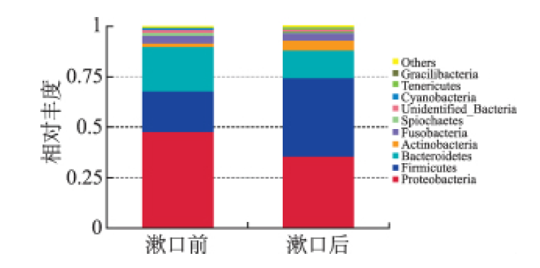 微酸性電解水漱口7d 后