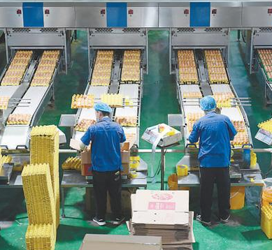 食品加工業