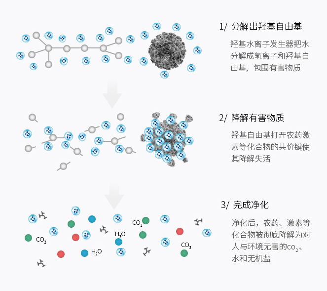 某品牌果蔬清洗機(jī)技術(shù)原理介紹