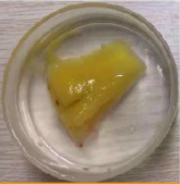 盛懷次氯酸消毒液浸泡