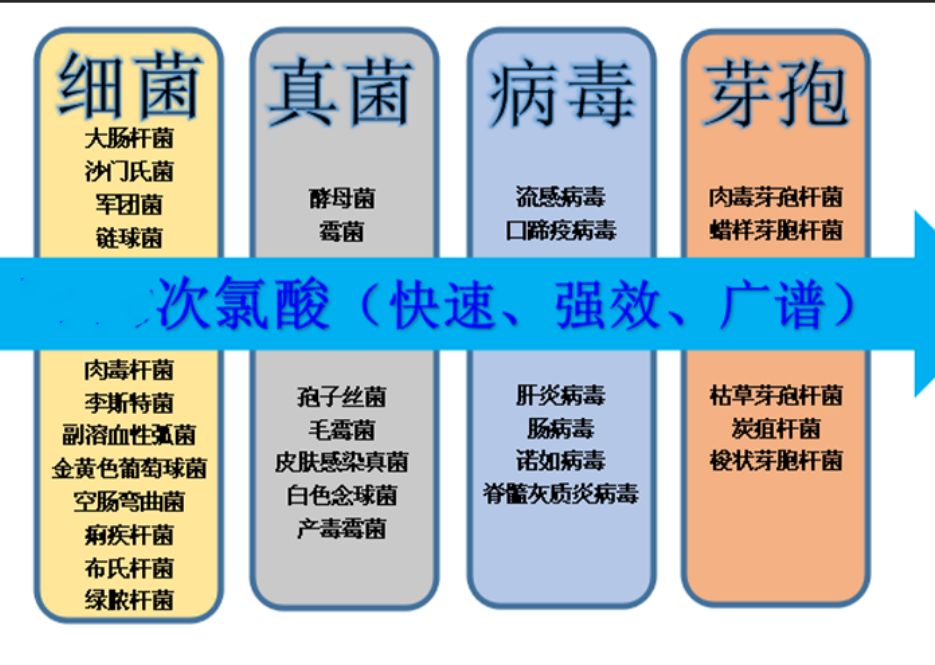 次氯酸