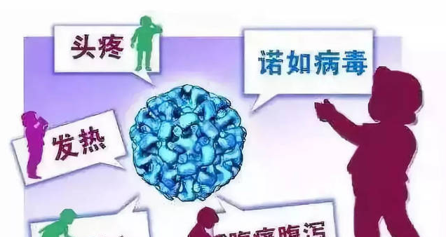 諾如病毒