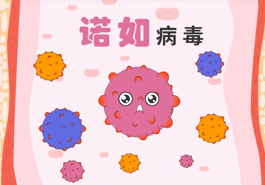 諾如病毒影響