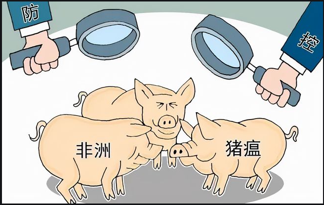 盛懷次氯酸水對豬場養殖行業效果明顯 盛懷次氯酸水對豬場養殖行業效果明顯