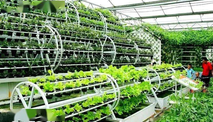 次氯酸水可有效用在農業種植生產中